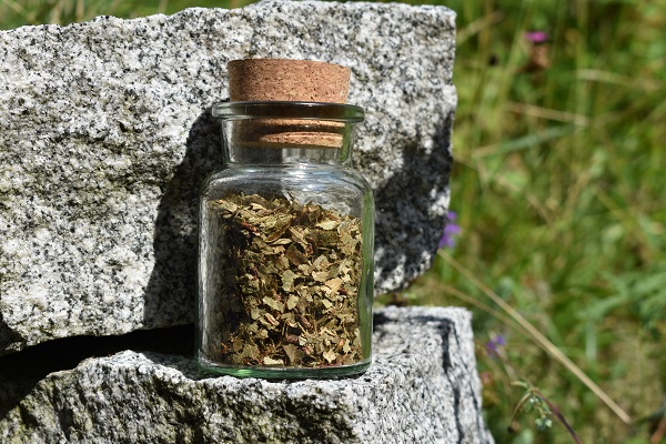 LaVida Pferdefutter Lexikon - Birkenblätter