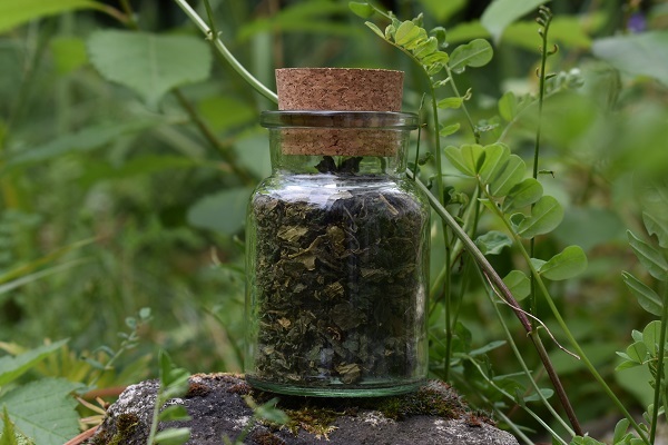 LaVida Pferdefutter Lexikon - Brennessel Blätter