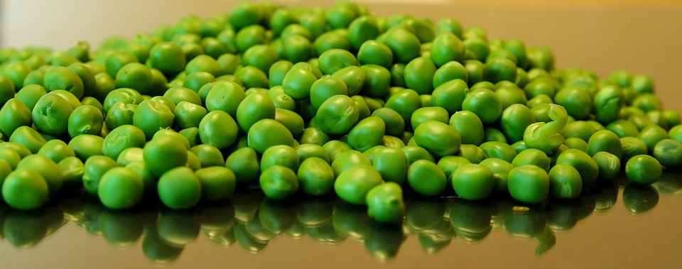 LaVida Pferdefutter Lexikon - Erbsenkleie